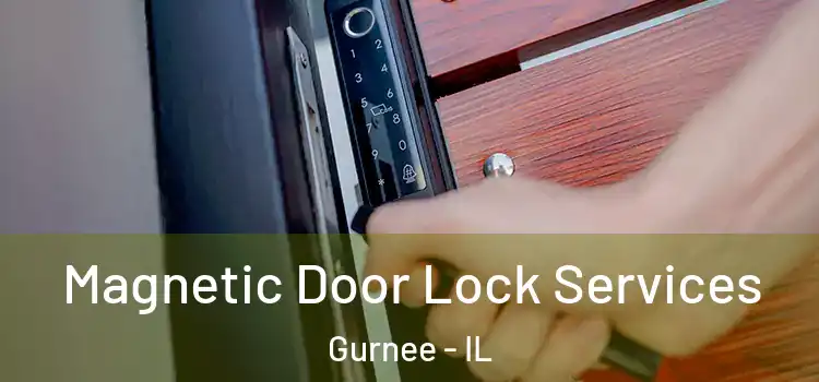 Magnetic Door Lock Services Gurnee - IL